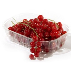 RIBES VASSOIO 125 GR FRESCHI